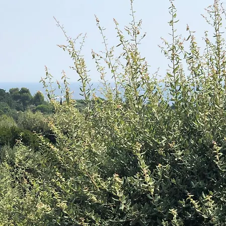 Les Collines De Guerrevielle Hébergement de vacances *